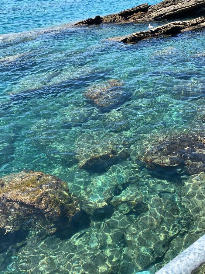 Casa Venezia Lejlighed Rapallo Eksteriør billede