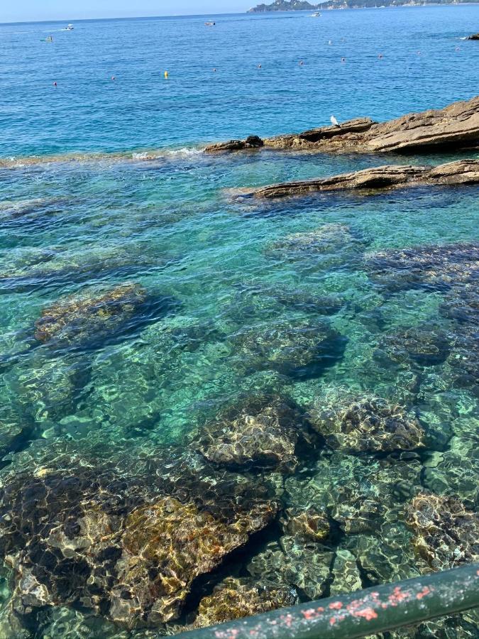 Casa Venezia Lejlighed Rapallo Eksteriør billede