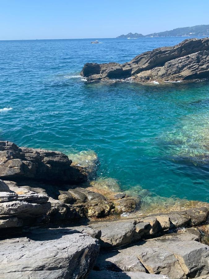 Casa Venezia Lejlighed Rapallo Eksteriør billede